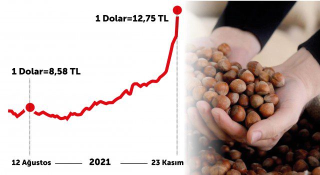 FINDIK FİYATI AÇIKLANDIĞINDA 3,08 DOLAR YAPIYORDU Döviz kurundaki tarihi artışlarla