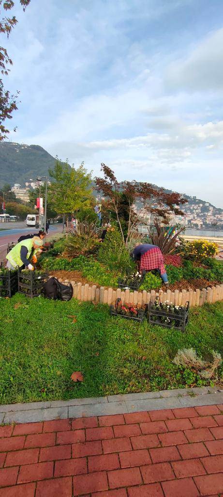 Ordu’da Mevsimlik Çiçek Dikimi Başladı cicek3