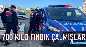 ltınordu’da 45 gün önce çalınan 700 kilogram fındıkla ilgili yürütülen