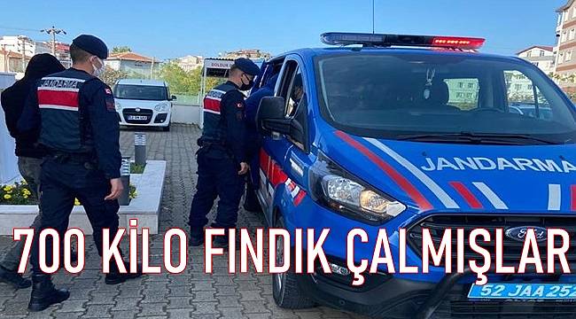 Ordu’da 700 Kilogram Fındık Çalan 3 Şüpheli Yakalandı ordu da 700 kilo findik calan 3 supheli yakalandi