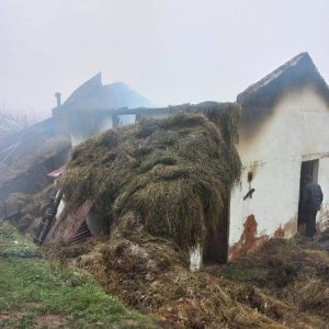 Ordu'da ahırda çıkan yangında 3 büyükbaş hayvan telef oldu.