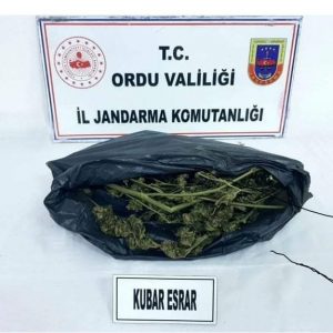 Ordu İl Jandarma Komutanlığınca uyuşturucu ile mücadele kapsamında yapılan istihbari