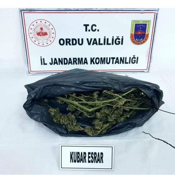 Fatsa'da Uyuşturucu Operasyonu: 4 Şüpheli Adliyeye Sevk Edildi 264493578 4638162372927839 5804634912375344559 n