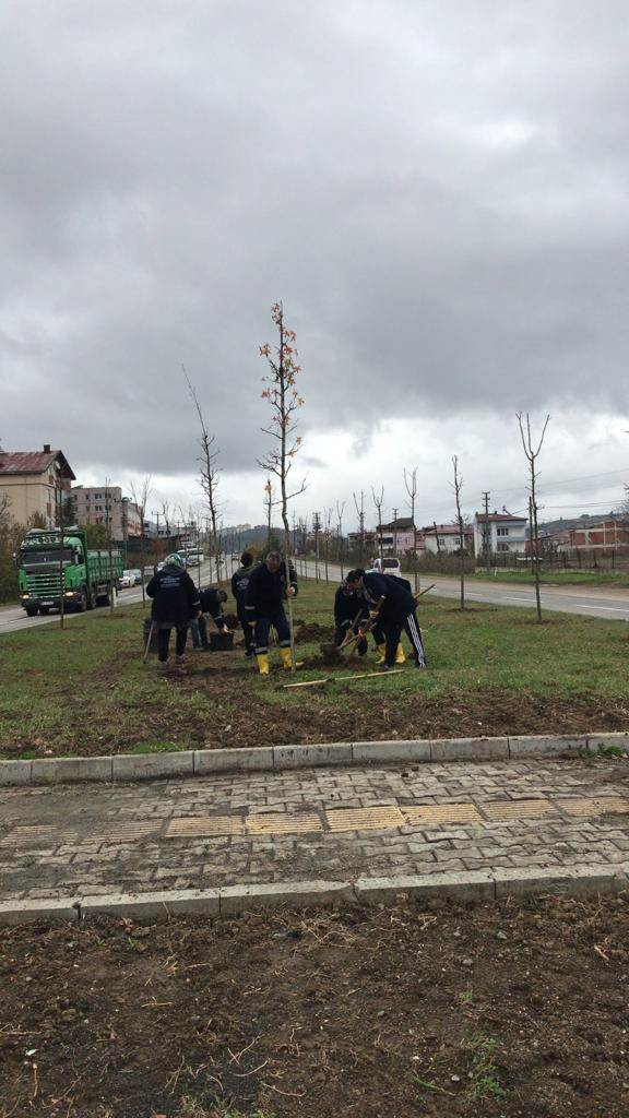 BÜYÜKŞEHİRDEN ‘YEŞİL’ SEFERBERLİK YESIL2