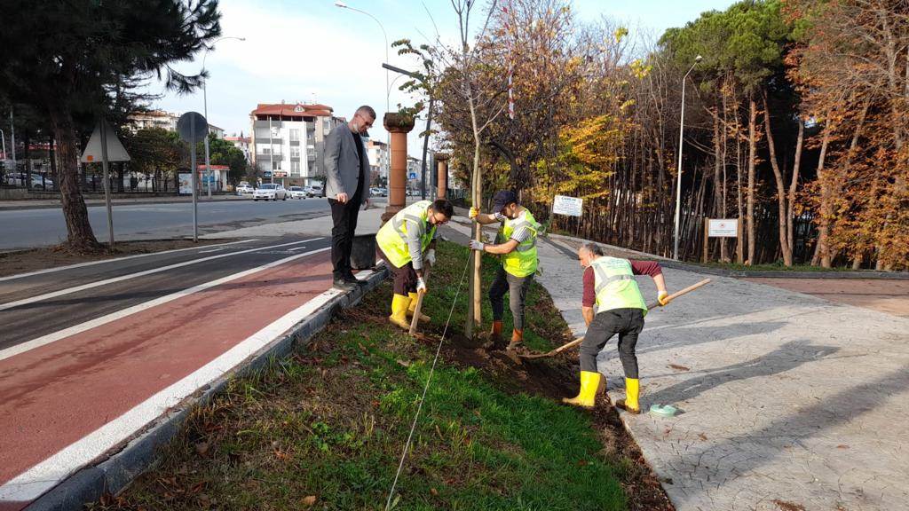 BÜYÜKŞEHİRDEN ‘YEŞİL’ SEFERBERLİK YESIL3