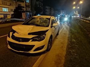 Ordu'nun Fatsa ilçesinde otomobilin çarptığı kadın hayatını kaybetti.