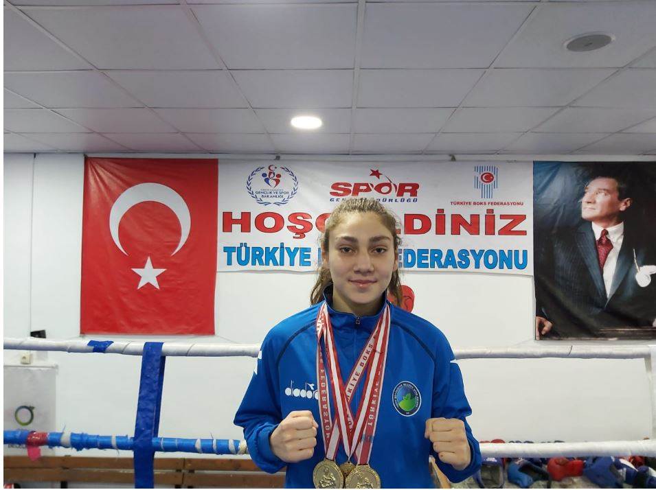 ALTIN2