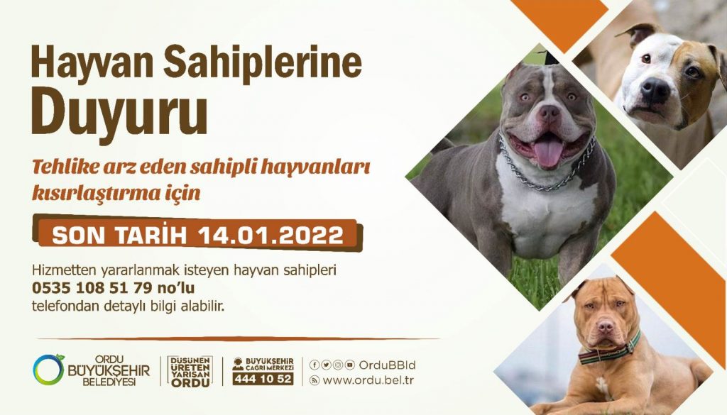 KISIRLAŞTIRMALARI ÜCRETSİZ YAPILACAK KISIR