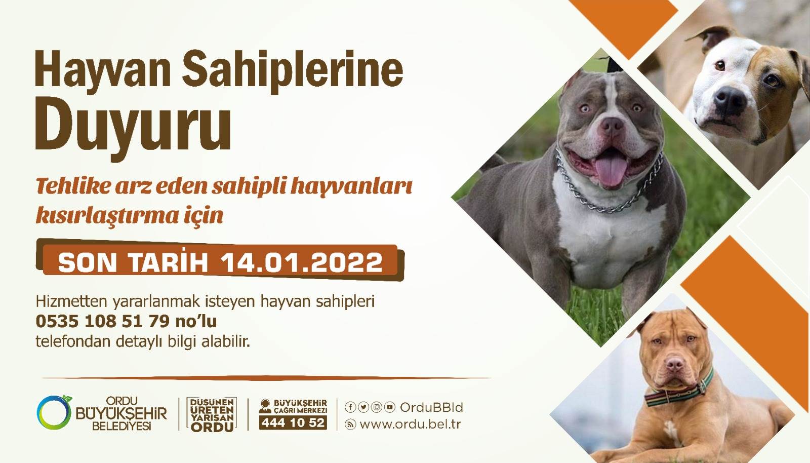 KISIRLAŞTIRMALARI ÜCRETSİZ YAPILACAK 5199 sayılı Hayvanları Koruma Kanunu kapsamında American