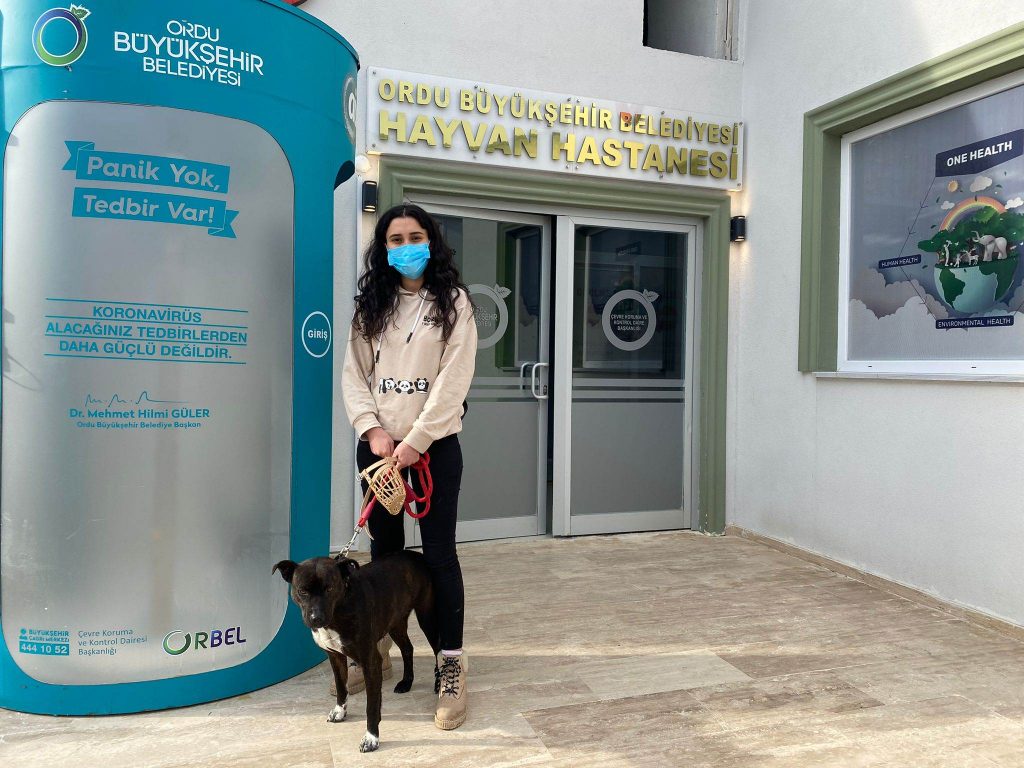 KISIRLAŞTIRMALARI ÜCRETSİZ YAPILACAK KISIR3