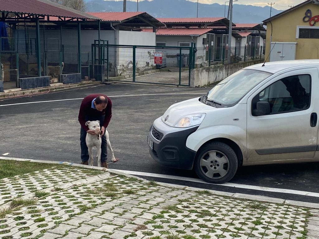 KISIRLAŞTIRMALARI ÜCRETSİZ YAPILACAK KISIR4