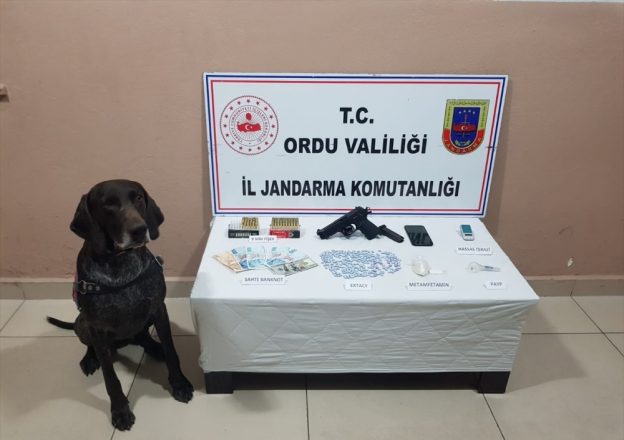 JANDARMADAN UYUSTURUCU SATICILARINA OPERASYON ORDU JANDARMA