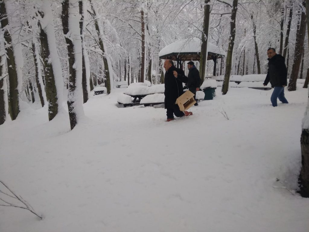 ÜNYE’DE DOĞAL YAŞAM UNUTULMADI TAVLI3