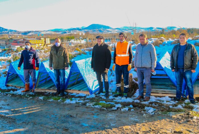 ÜNYE BELEDİYESİ'NDEN CANLARA SICAK YUVA canlar ub1