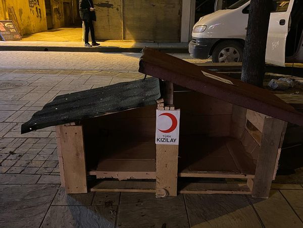KIZILAYLI GENÇLERDEN KEDİLERE SICAK YUVA KEDI3