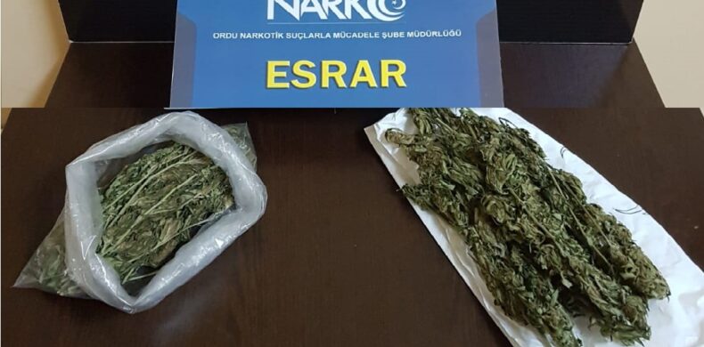 ÜNYE VE FATSA'DA UYUŞTURUCU OPERASYONU ESRAR