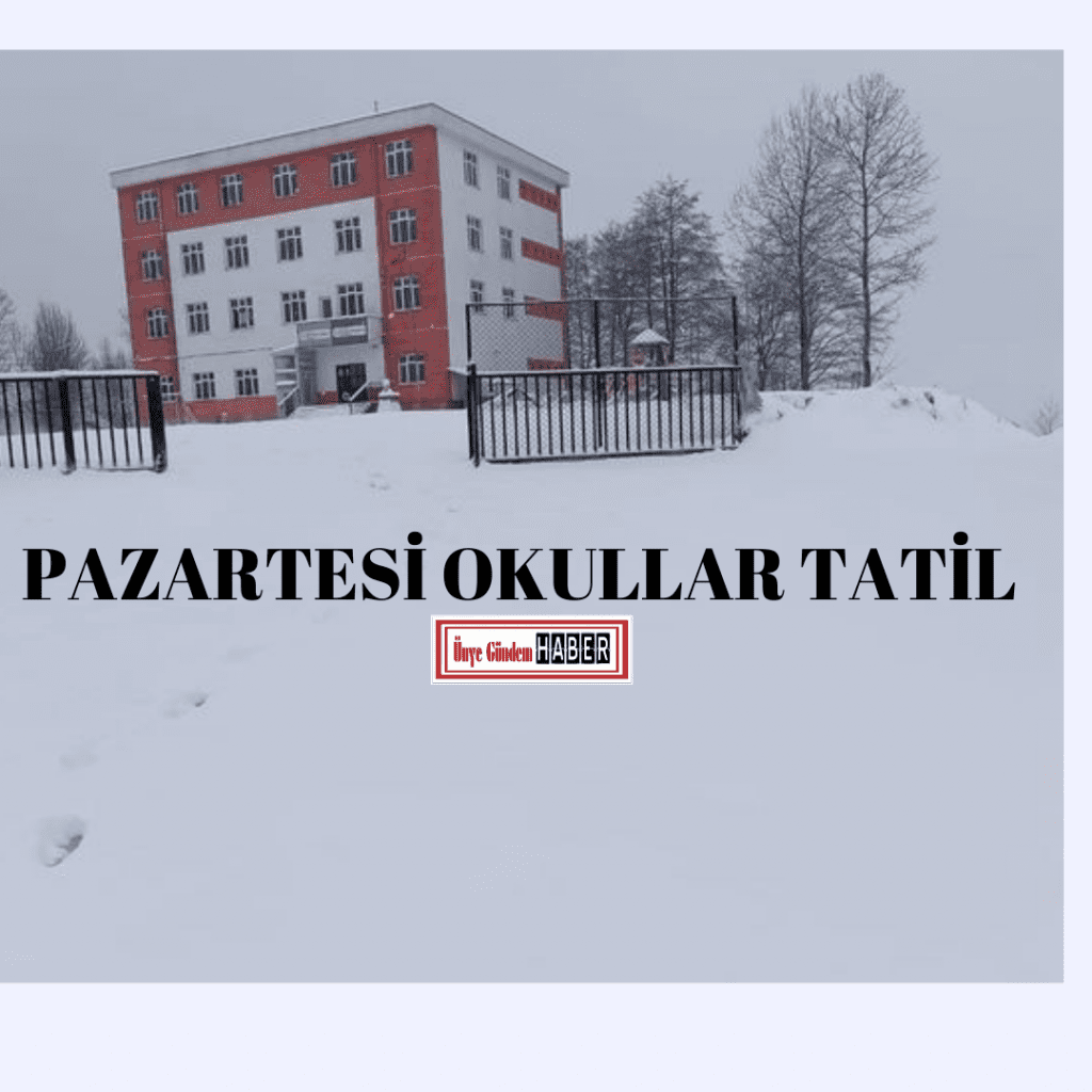 OLUMSUZ HAVA ŞARTLARI NEDENİYLE EĞİTİME ARA! Mavi Minimal 14 Mart Tip Bayrami Instagram Gonderisi