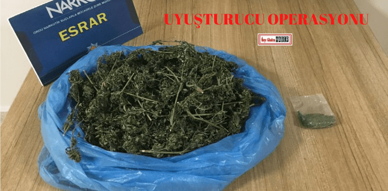 UYUŞTURUCU OPERASYONU UYUSTURUCU OPERASYONU