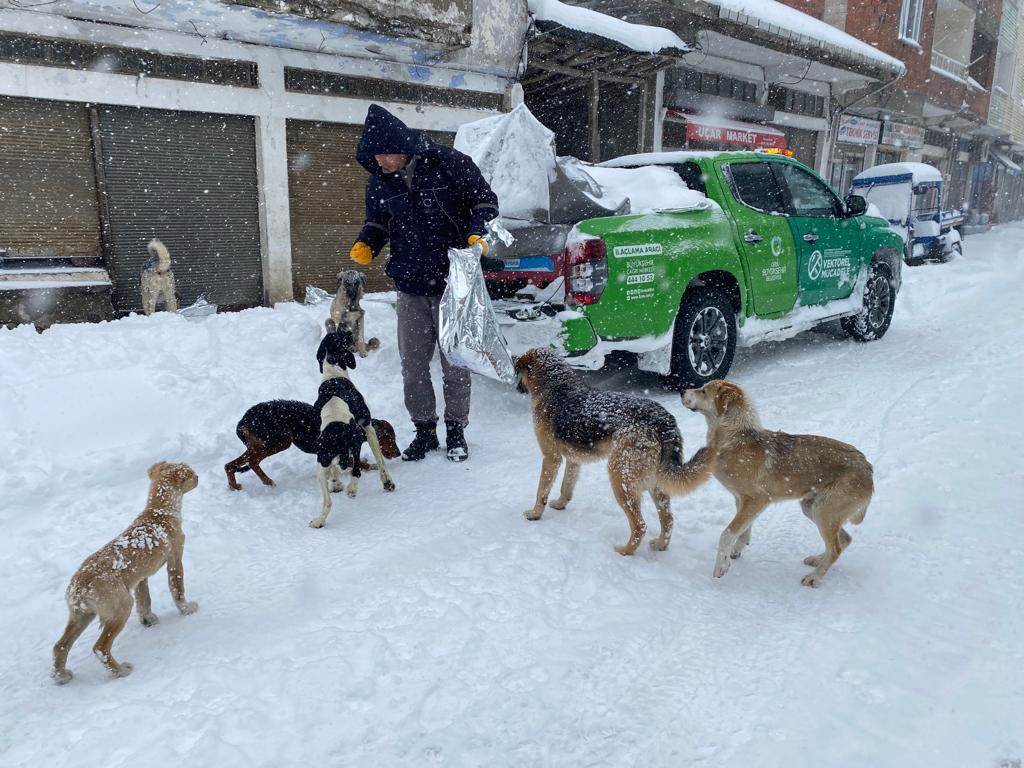OLUMSUZ HAVA KOŞULLARINDAN ETKİLENEN CANLAR UNUTULMADI ko 1