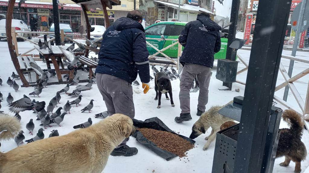 OLUMSUZ HAVA KOŞULLARINDAN ETKİLENEN CANLAR UNUTULMADI ko2 1