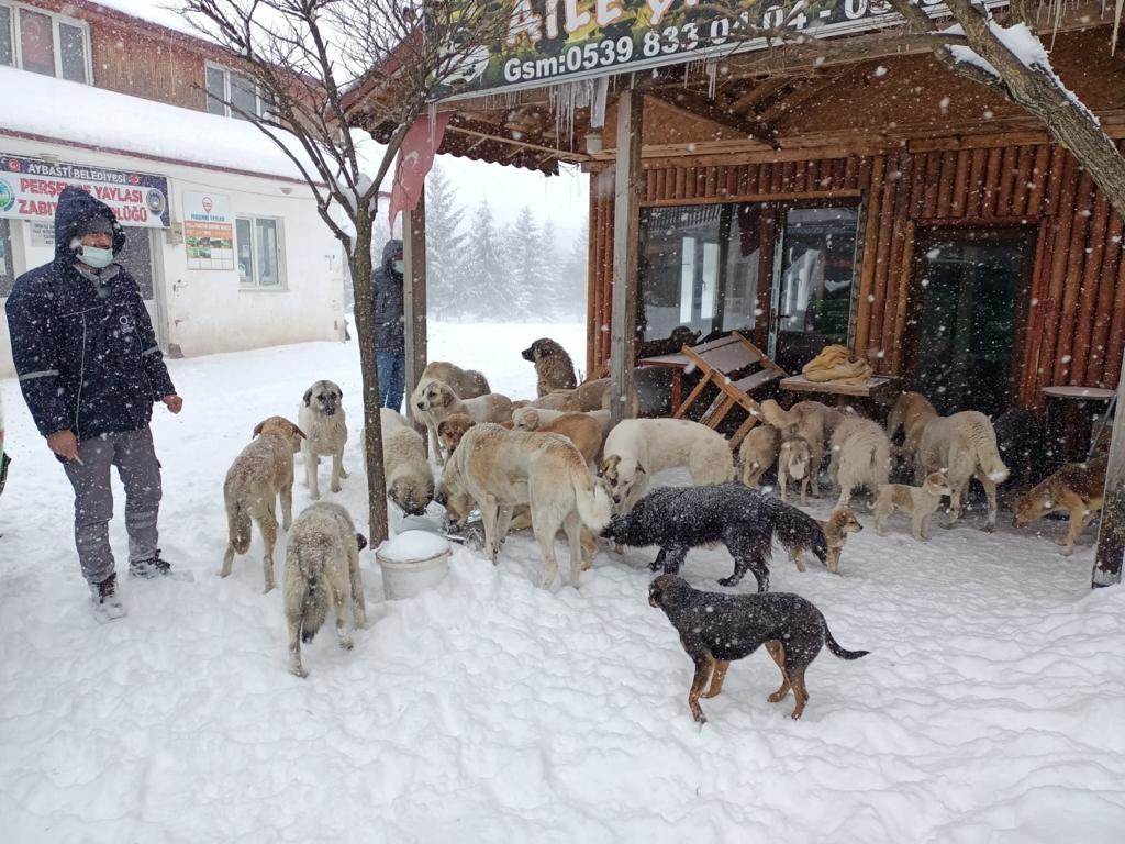 OLUMSUZ HAVA KOŞULLARINDAN ETKİLENEN CANLAR UNUTULMADI ko3