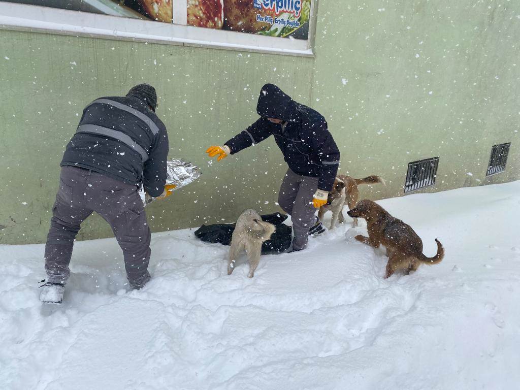 OLUMSUZ HAVA KOŞULLARINDAN ETKİLENEN CANLAR UNUTULMADI ko4