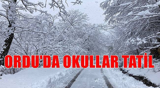 ORDU’NUN TAMAMINDA OKULLAR TATİL EDİLDİ tatil