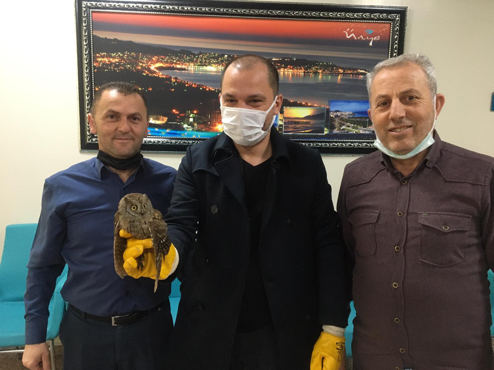 Ordu’nun Ünye İlçesinde , gündüz saatlerinden Ünye Devlet Hastanesi’nde bahçesinde
