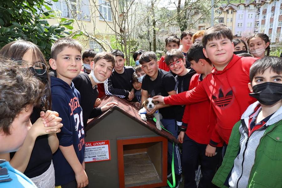 SOKAK HAYVANLARI GÜNÜ UNUTULMADI sokak