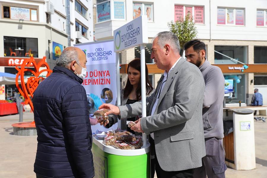 SOKAK HAYVANLARI GÜNÜ UNUTULMADI sokak1