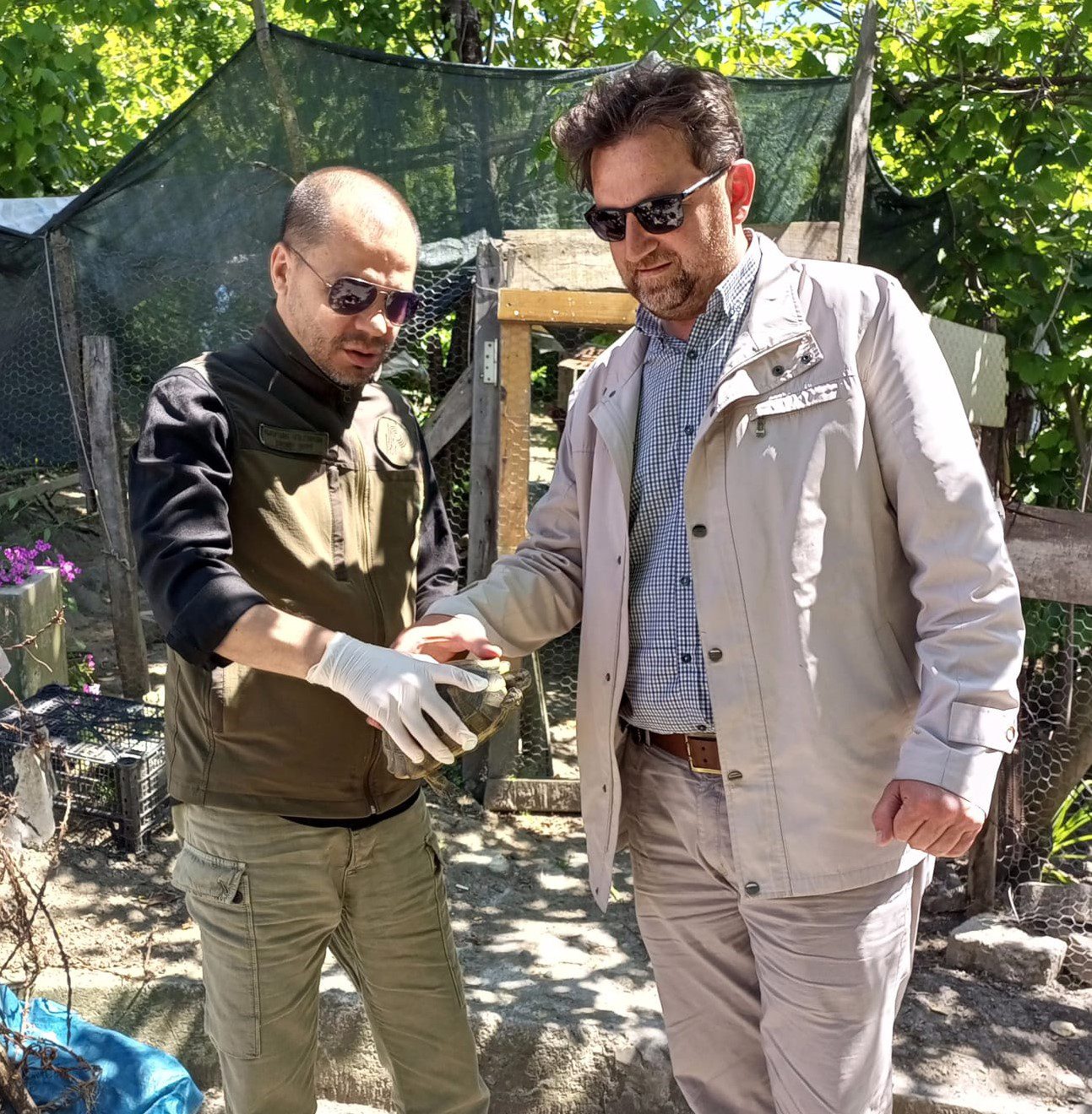 Ordu’nun Ünye İlçesinde duyarlı vatandaşlar tarafından bitkin halde bulunan Kara