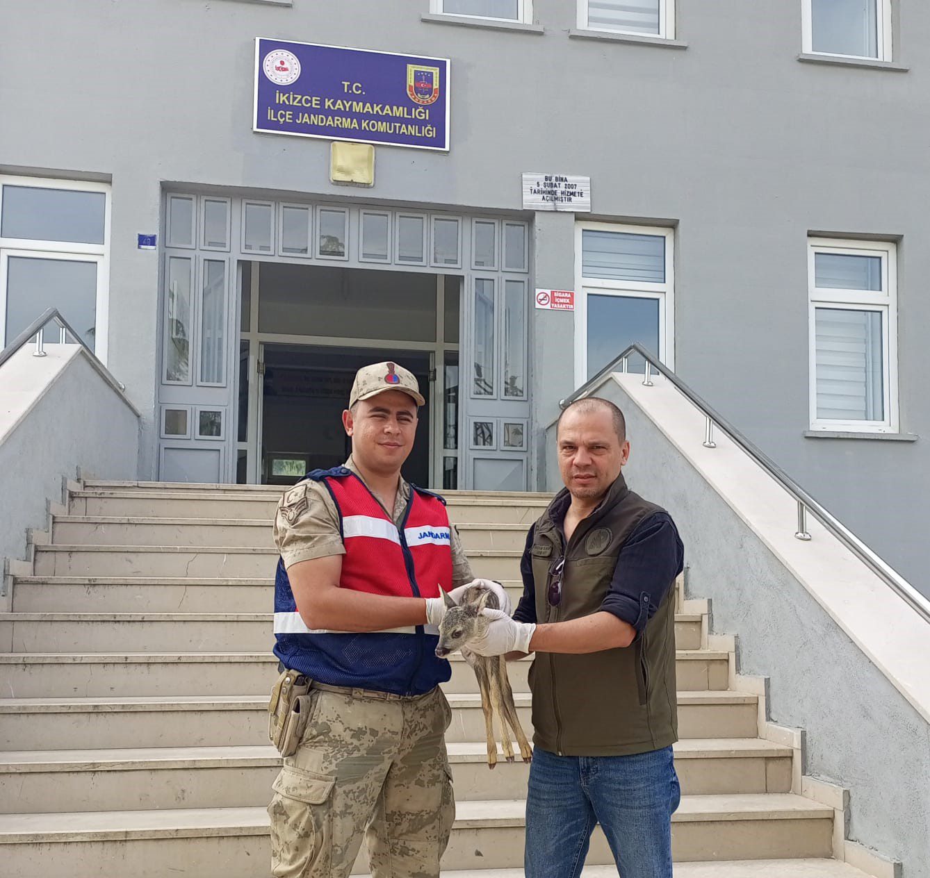 Ordu’nun İkizce   ilçesinde jandarma ekiplerince   yaralı olarak bulunan yavru karaca