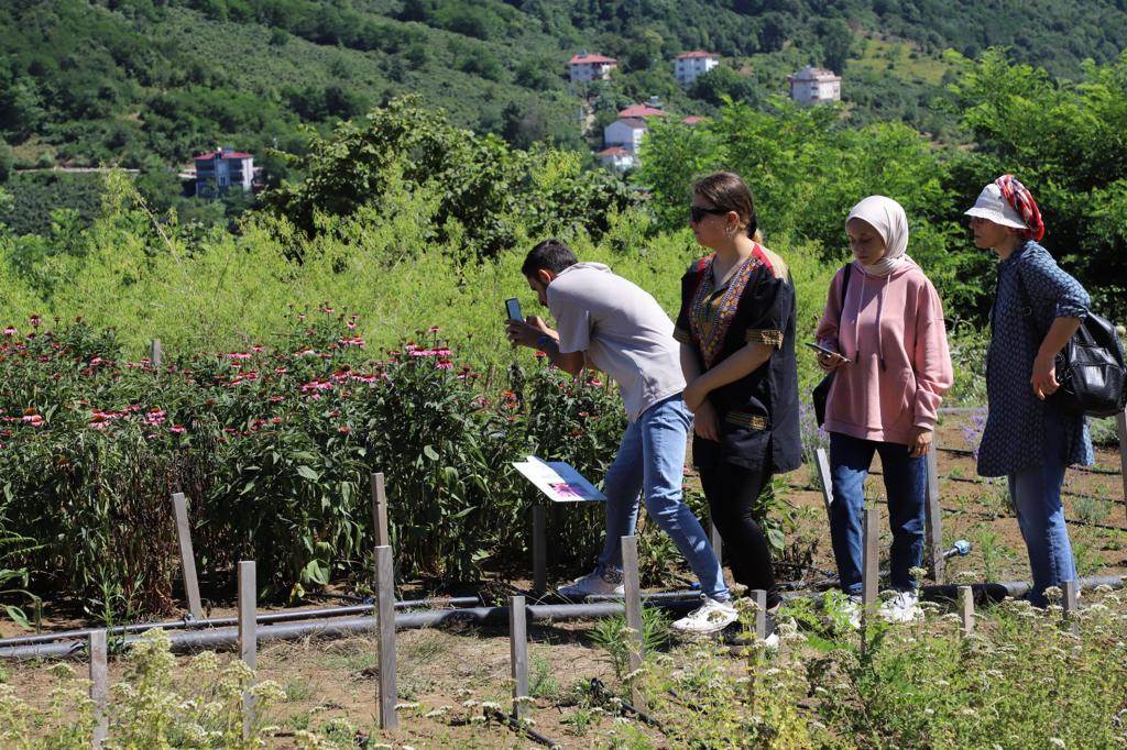 Ordu Büyükşehir Tarım Projeleriyle Dikkat Çekiyor tarim4