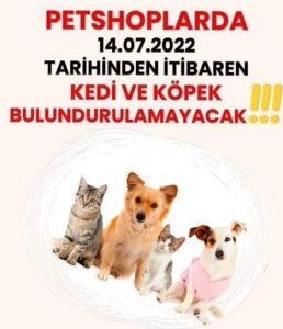 Evcil hayvanlar artık vitrinde sergilenip satılamayacak. Hayvanları Koruma Kanunu kapsamında,