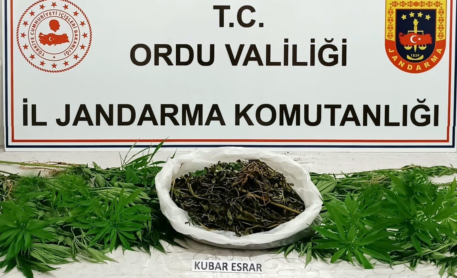 Ordu İl Jandarma Komutanlığınca uyuşturucu ile mücadele kapsamında yapılan istihbari