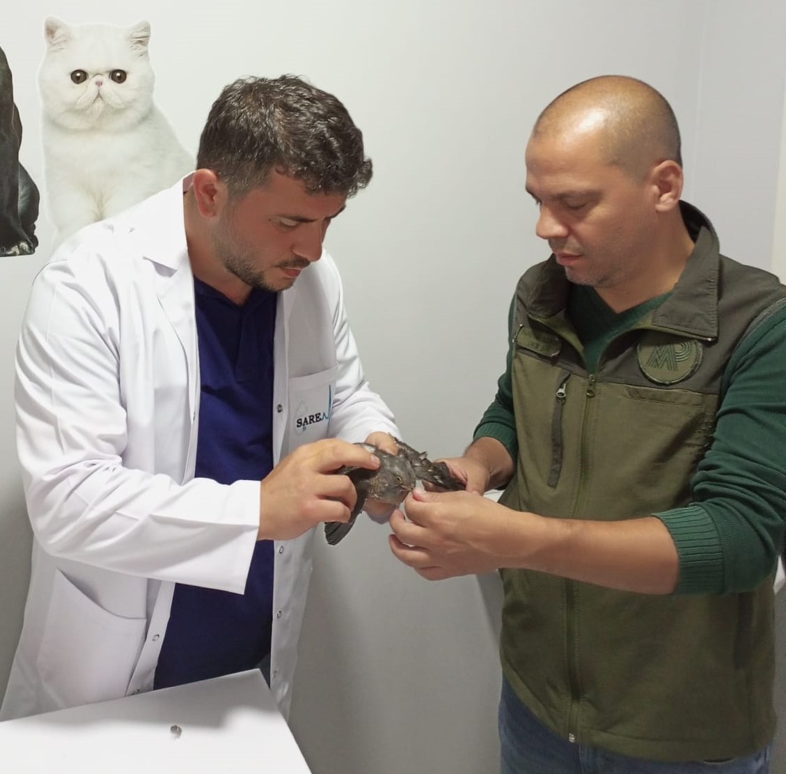  Ordunun Ünye ilçesi Ortayılmazlar  Mahallesinde duyarlı vatandaş İshak Ateş 