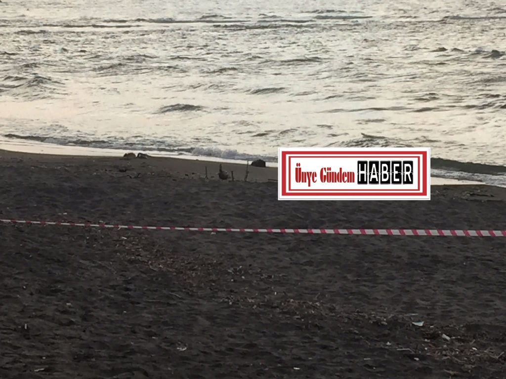 STANDRO İMHA EDİLDİ Adsiz tasarim 56