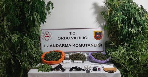 Ordu İl Jandarma Komutanlığınca uyuşturucu ile mücadele kapsamında yapılan istihbari