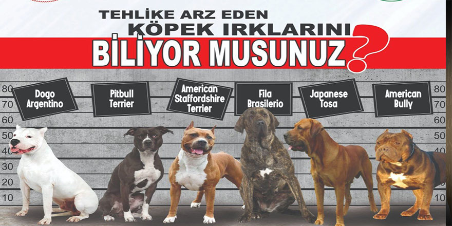 393 BİN 771 EVCİL HAYVANI KAYIT ALTINA ALINDI 75768
