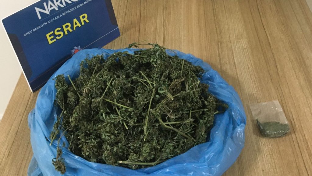 ÜNYE’DE VE FATSA’DA UYUŞTURUCU OPERASYONU U 2