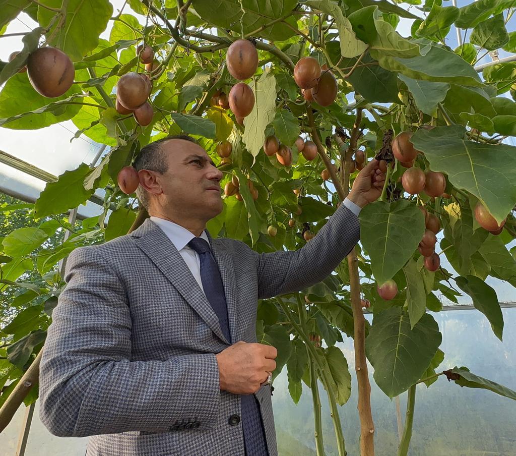 Vali Sonel, Fatsa İlçemizde Temas ve Ziyaretlerde Bulundu va