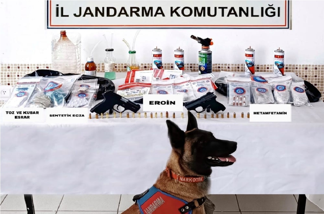 FATSA'DA OPERASYON : 2 GÖZALTI