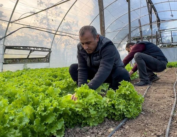 Ordu’da Seracılık Yaygınlaşıyor SE