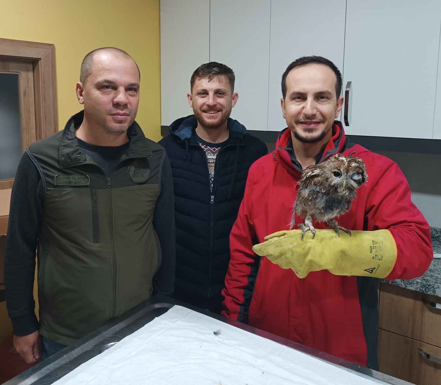 Ordu’nun Kumru İlçesinde  bir evin çatı arasında farelerle mücadele amaçlı