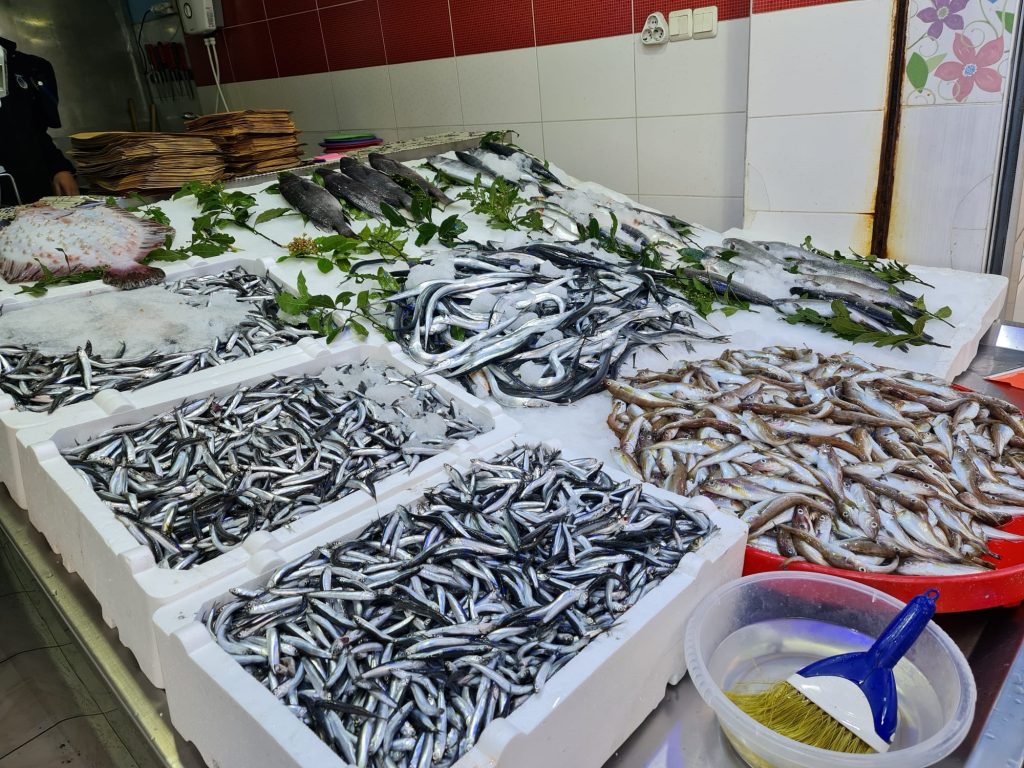 ORDU’DA BALIK TEZGÂHLARI DENETLENİYOR o1 2