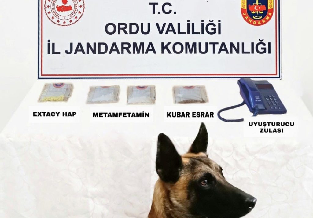 ÜNYE'DE UYUŞTURUCU OPERASYONU K 2