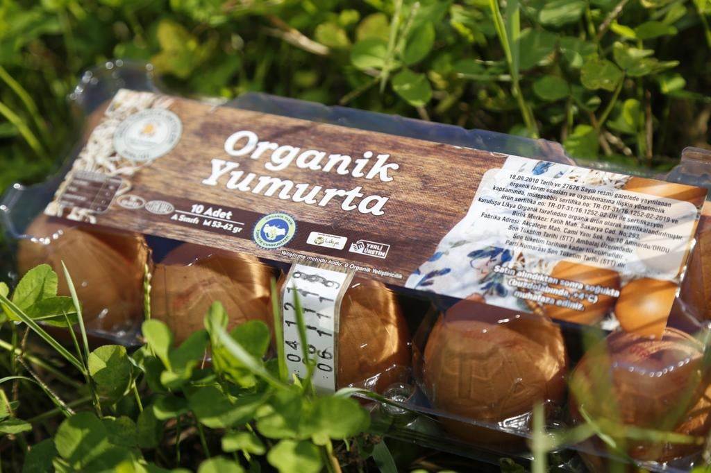 BAE’NİN YUMURTALARI ORDU’DAN YUM