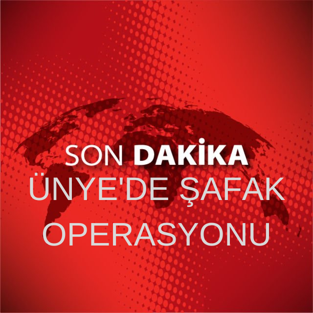 ÜNYE'DE ŞAFAK OPERASYONU