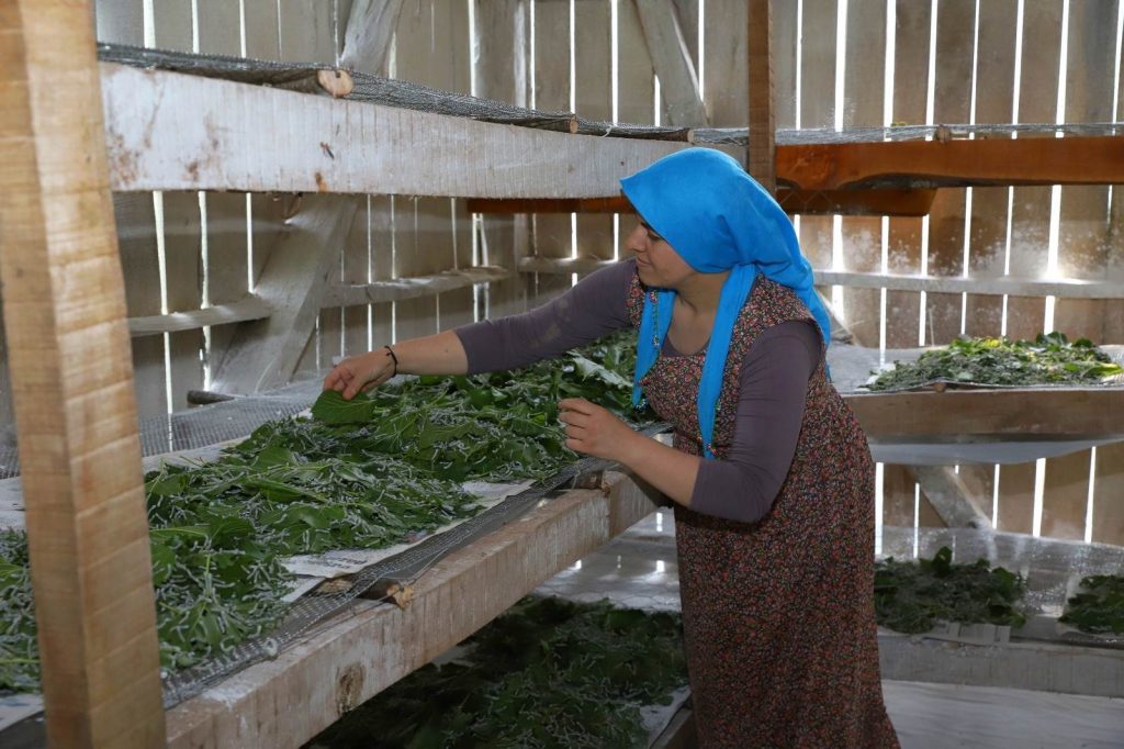 BAŞKAN GÜLER’İN KIRSAL KALKINMA PROJELERİ BÜYÜYOR ka 2