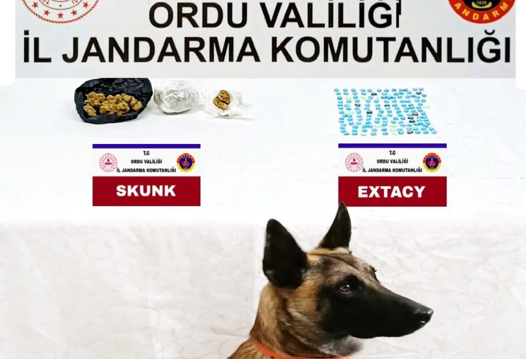 ÜNYE'DE UYUŞTURUCU OPERASYONU u 3